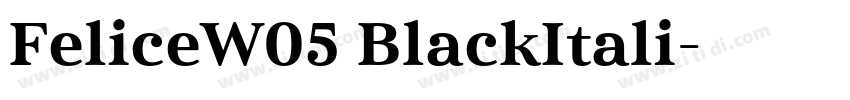 FeliceW05 BlackItali字体转换